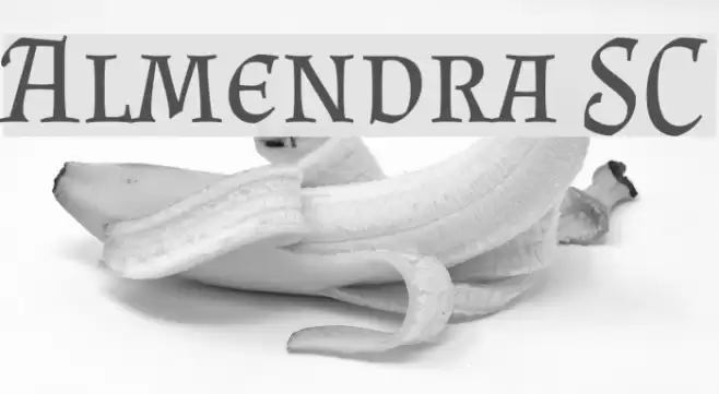 Almendra SC Font examples