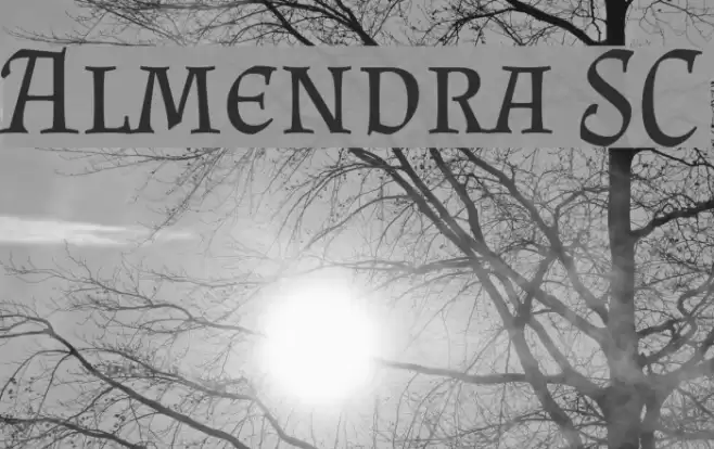 Almendra SC Font examples