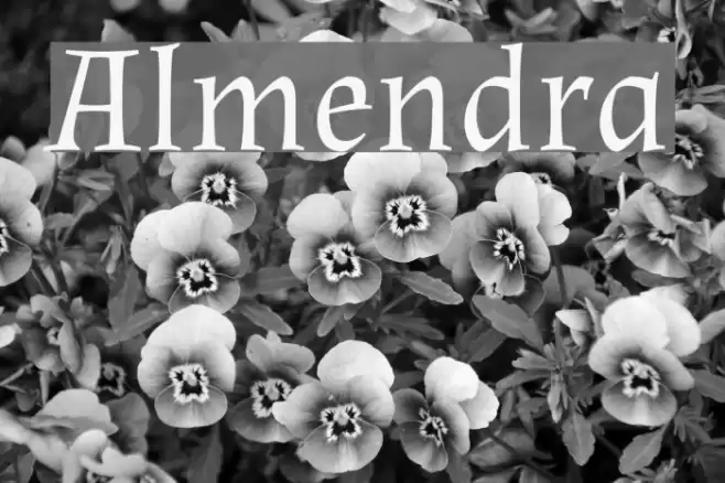 Almendra Font examples