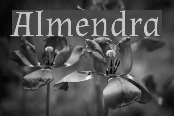 Almendra Font examples