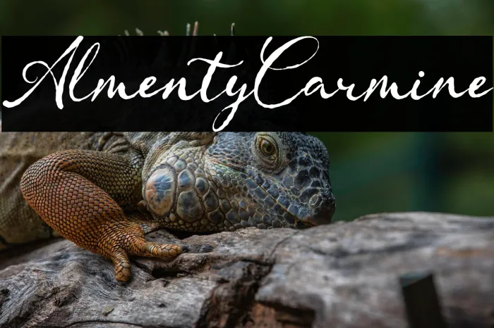 Almenty Carmine Example 2