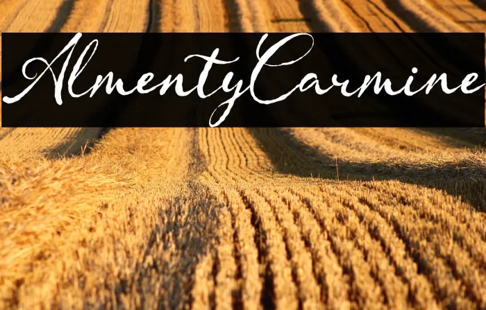 Almenty Carmine Example 3