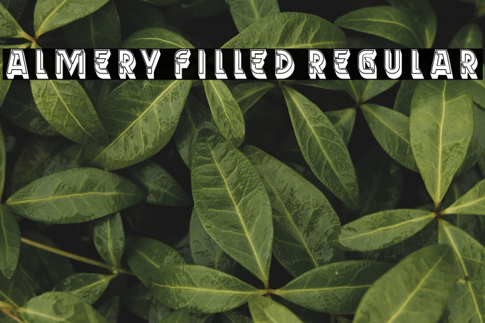 Almery Filled Regular Example 1