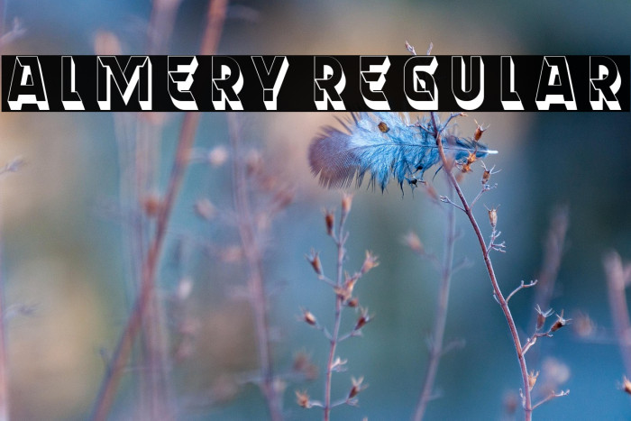 Almery Regular Example 3