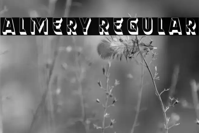 Almery Regular Font examples
