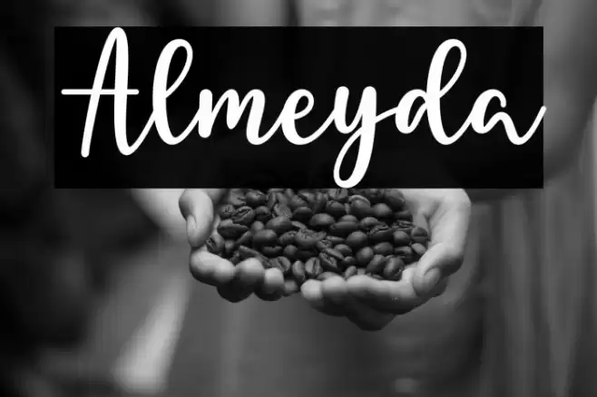 Almeyda Font examples