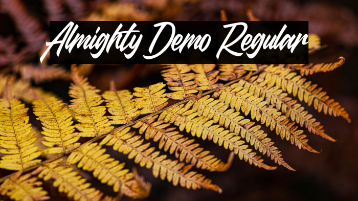 Almighty Demo Regular Example 2