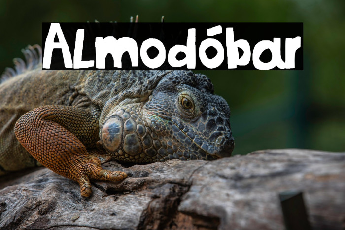 Almodóbar Example 2