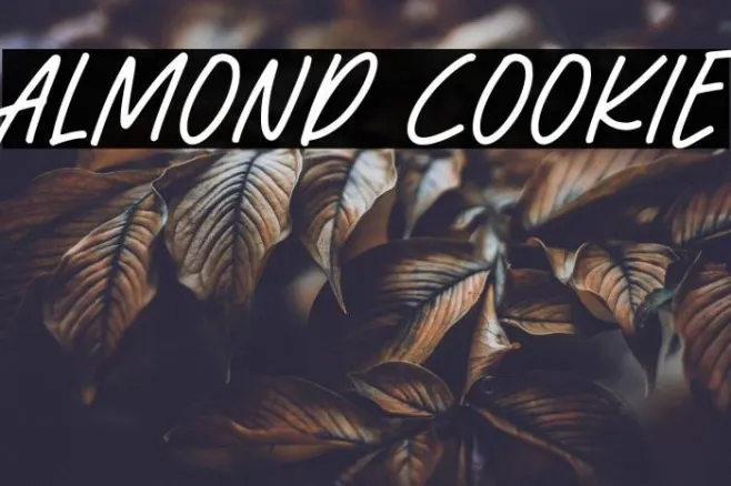 Almond Cookie Example 3