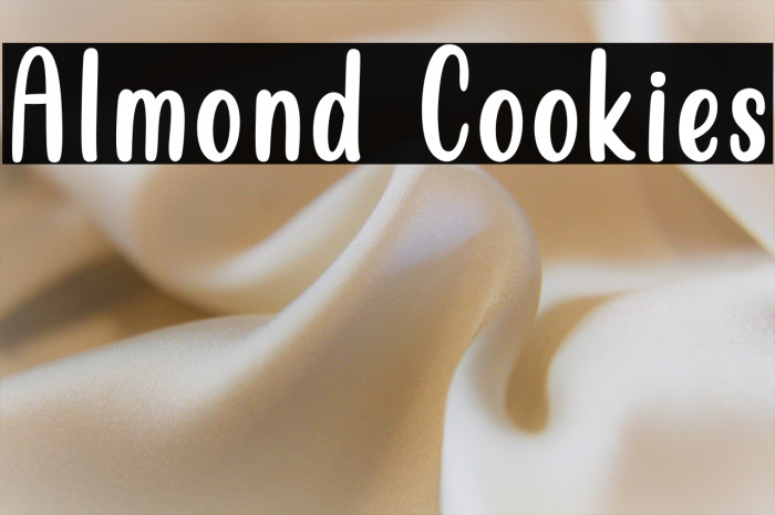 Almond Cookies Example 2