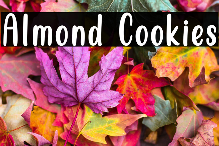 Almond Cookies Example 3