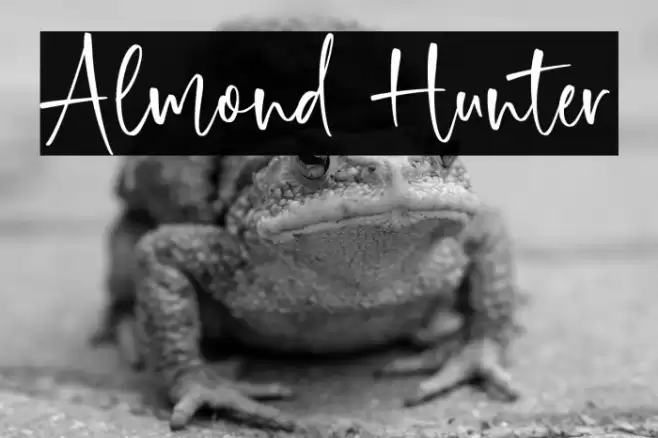 Almond Hunter फ़ॉन्ट examples