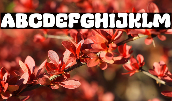 Almond Mocca Example 3