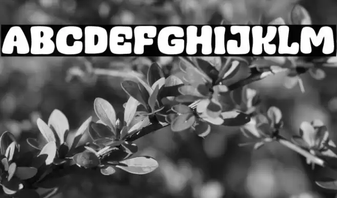 Almond Mocca Шрифта examples