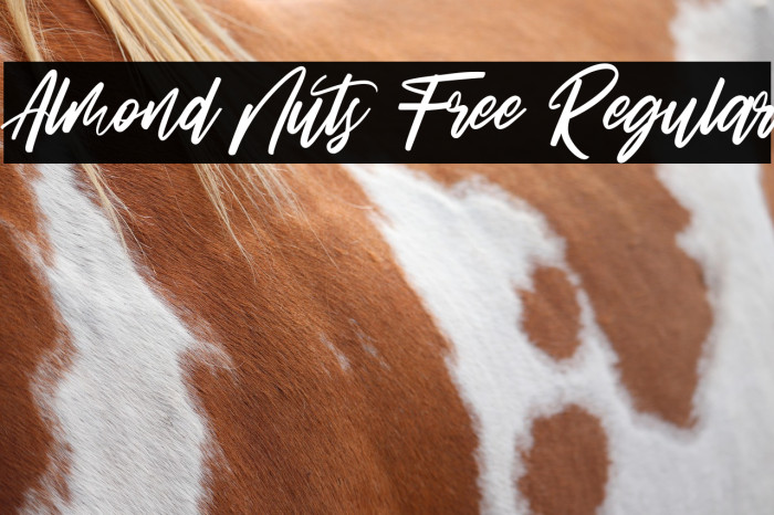 Almond Nuts Free Regular Example 1