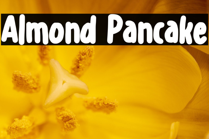 Almond Pancake Example 3