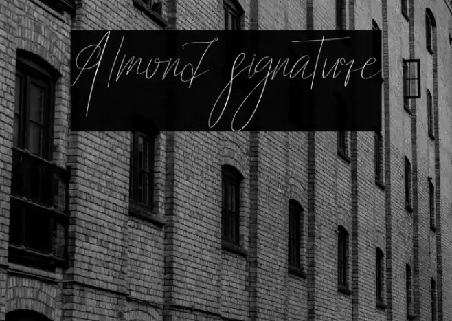 Almond signature Font examples