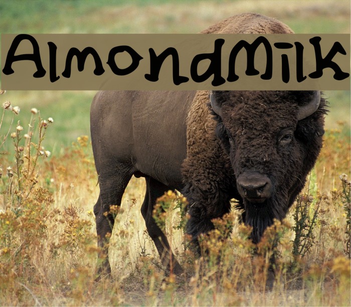 Almond_Milk Caratteri examples