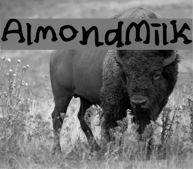 Almond_Milk Font examples