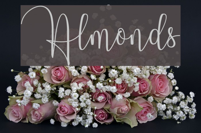 Almonds Fuentes examples