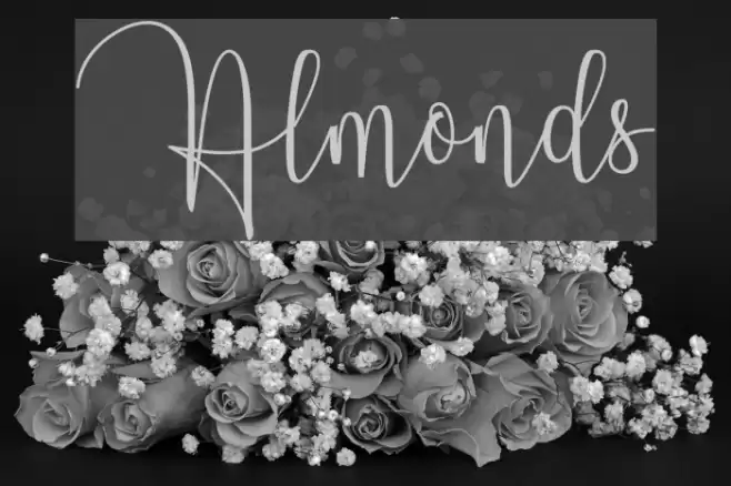 Almonds Font examples