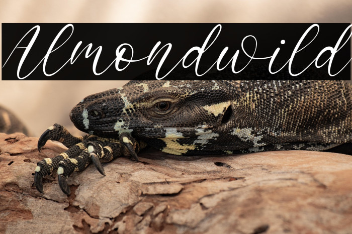 Almondwild Example 1