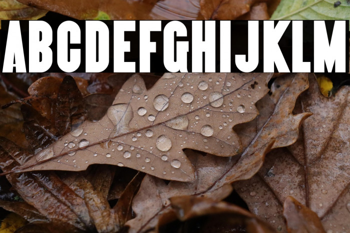 Almonte-Regular Example 2