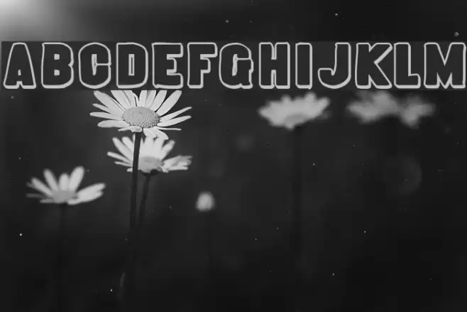 Almonte Slam Fonte examples