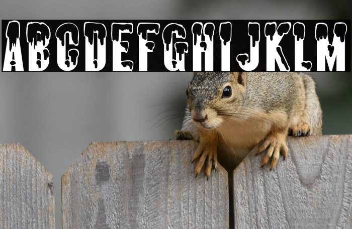 AlmonteSnow-Regular Example 3