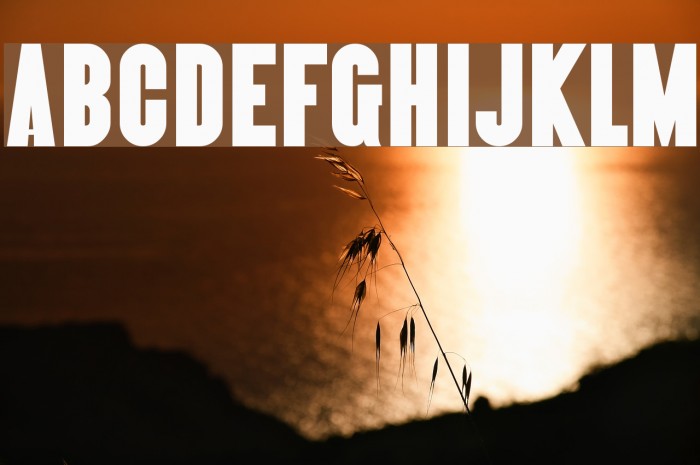 Almonte Font examples