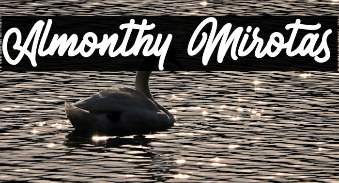 Almonthy Mirotas Example 1