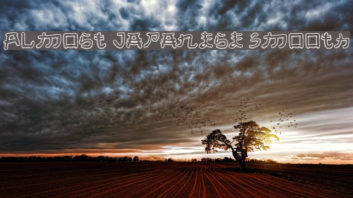 Almost Japanese Smooth Example 1