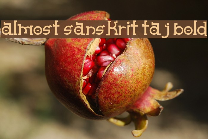 Almost Sanskrit taj Bold Font examples