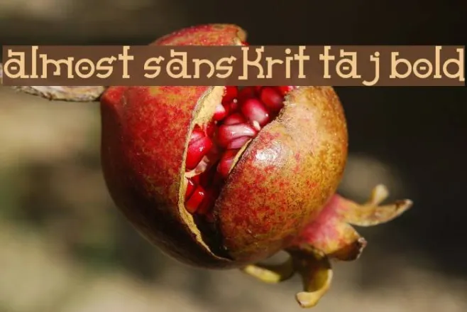 Almost Sanskrit taj Bold Example 2