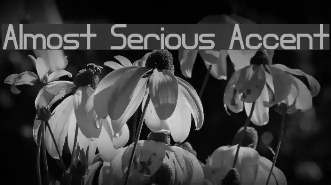 Almost Serious Accent Font examples