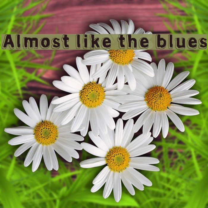Almost like the blues फ़ॉन्ट examples