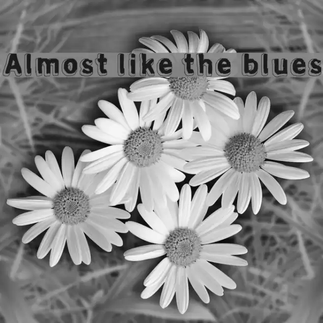 Almost like the blues फ़ॉन्ट examples