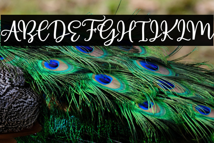 AlmostThere Example 2