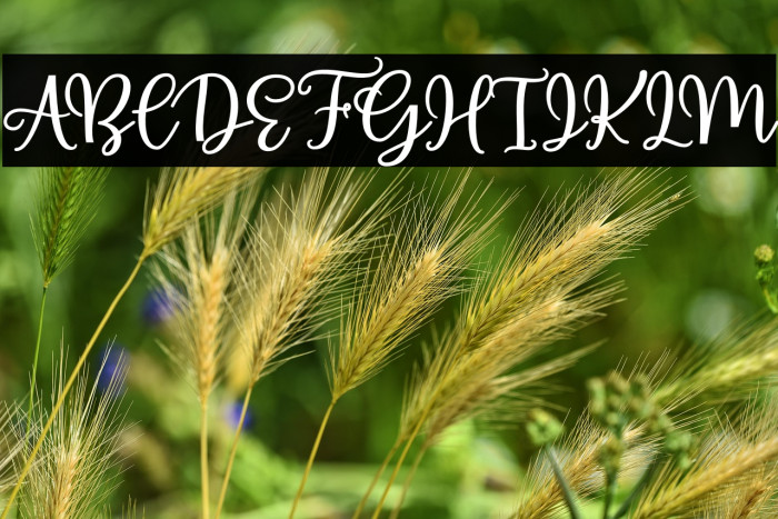 AlmostThere Example 3