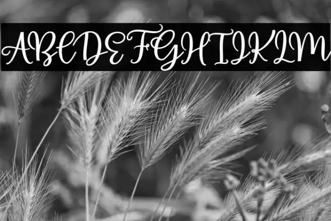 AlmostThere Font examples