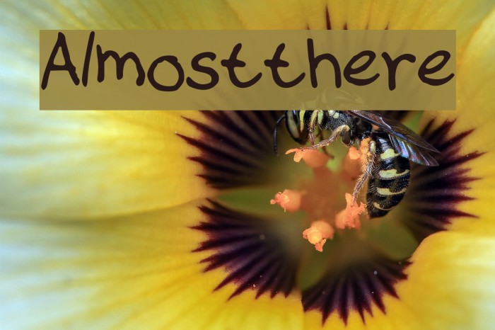 Almost_there Font examples
