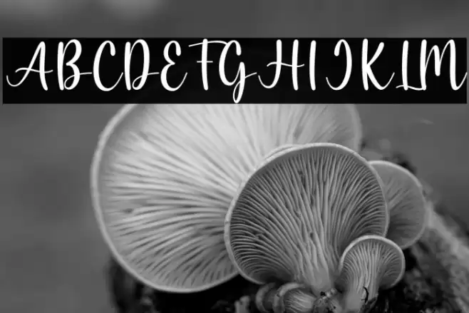 Aloha 1 Font examples