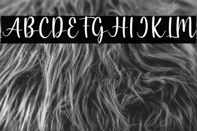 Aloha 1 Font examples