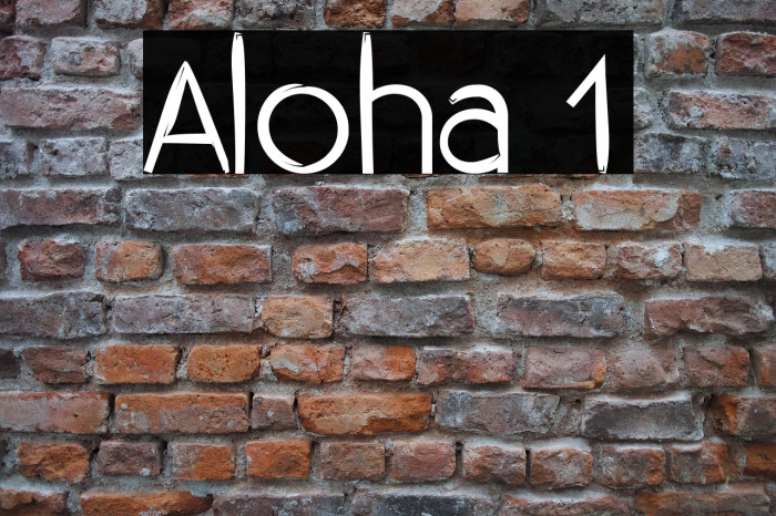 Aloha 1 Example 1