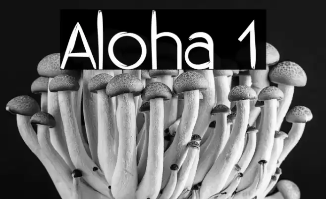 Aloha 1 Font examples