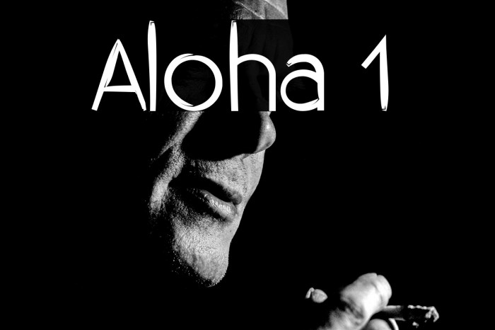 Aloha 1 Example 3