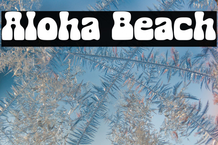 Aloha Beach Example 1