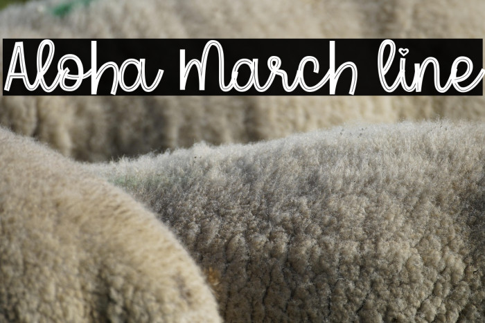Aloha March line Example 3