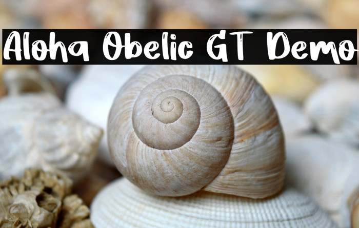 Aloha Obelic GT Demo Example 2