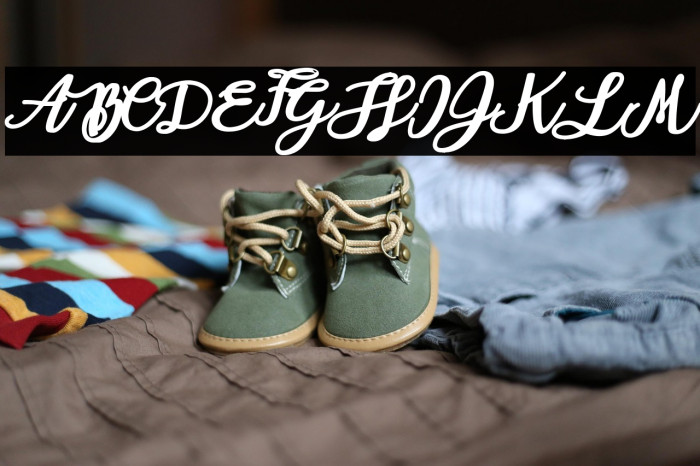 Aloha Octopus Personal Use Regular Example 1